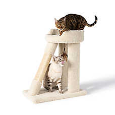 Whisker City? 26-in Short Carpet Cat Tower with Ramp and Rope Scratching Post
