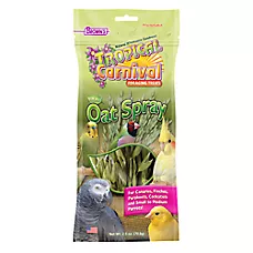 Brown's® Tropical Carnival® Natural Oat Spray Foraging Treats - Pet Bird Treats