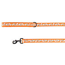Thrills & Chills&trade; Halloween Ghost Dog Leash