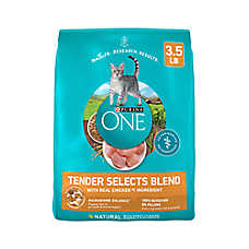 Purina ONE Tender Selects Natural Dry Cat Food - Chicken