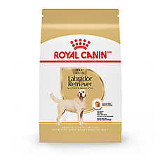 Royal Canin? Breed Health Nutrition? Labrador Retriever Adult Dog Dry Food