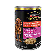 Purina Pro Plan Sensitive Skin & Stomach Puppy Wet Dog Food - Classic, Salmon & Rice, 13 oz