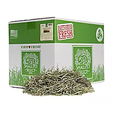 Small Pet Select 2nd Cut Timothy Hay
