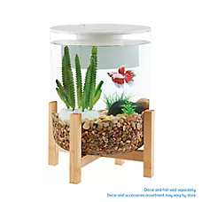 Top Fin® Bamboo Base Aquarium - Fish Tank Aquarium - 3 Gallon