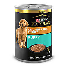 Purina Pro Plan Development Puppy Wet Dog Food - Chicken & Rice, 13 oz